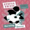 Burning Secret by Stefan Author Zweig Paperback Book 9781782274520