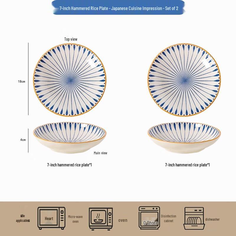 ZISIZ Washoku Impression Blue & White Ceramic Dinner Plates (Set of 2)