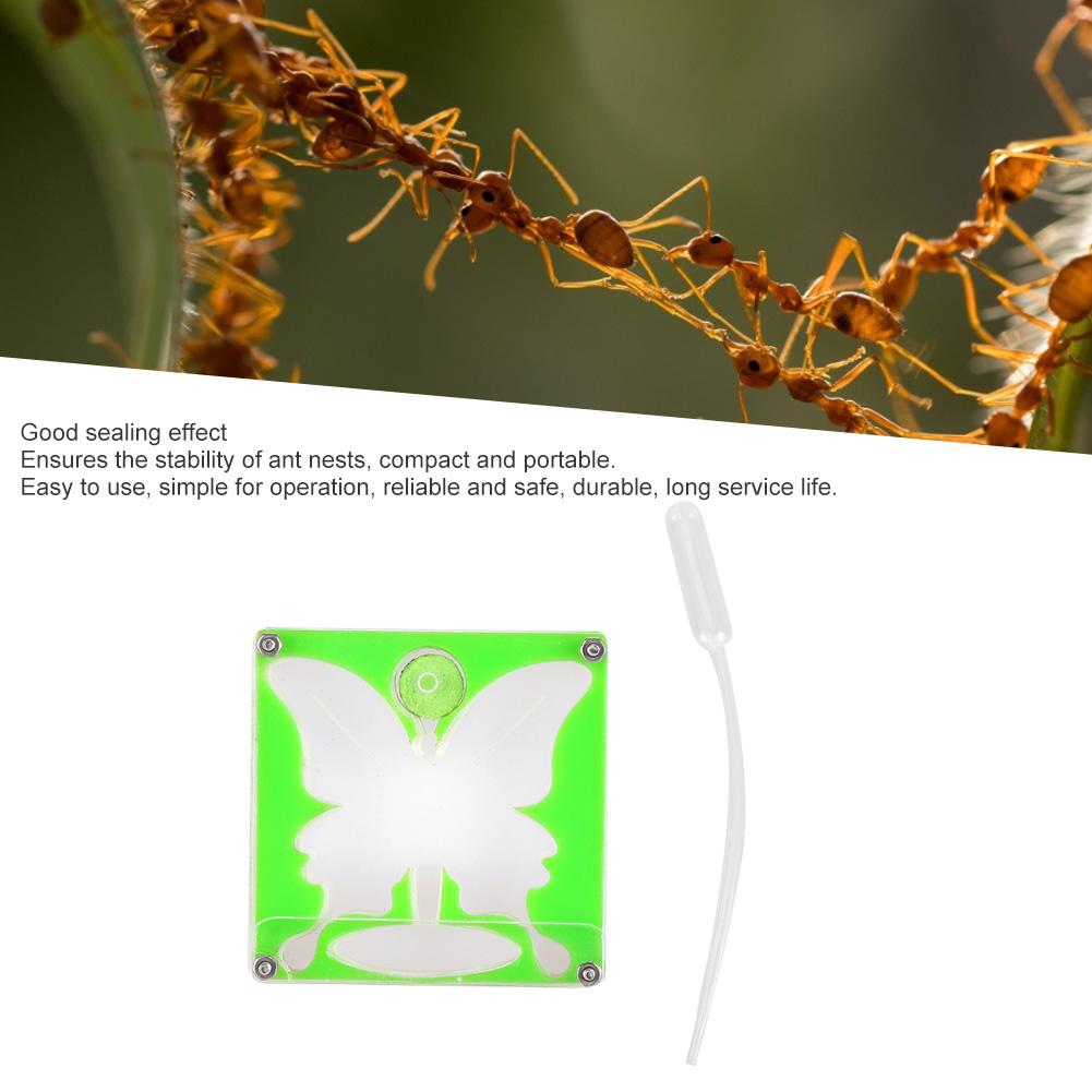 Ant Workshop Self Controlled Humidity Ant Nests Castle Ant Home Acrylic Ant Nests