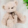 JELLYCAT Bear Series Bertie Bear Cute Doll Plush Doll 28cm High