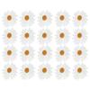 20pcs Daisy Flower Patch Decorative Clothing Sticker DIY Appliques IronOn Garment Accessory