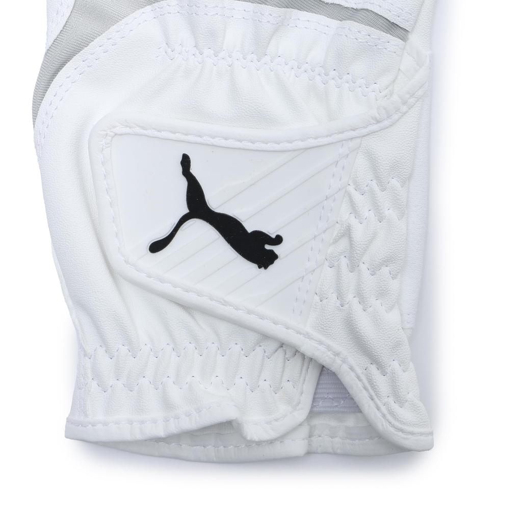 Golf Fusion Grip Glove 042106 Synthetic Leather Basic Standard 3.0 (Right Hand) / / /