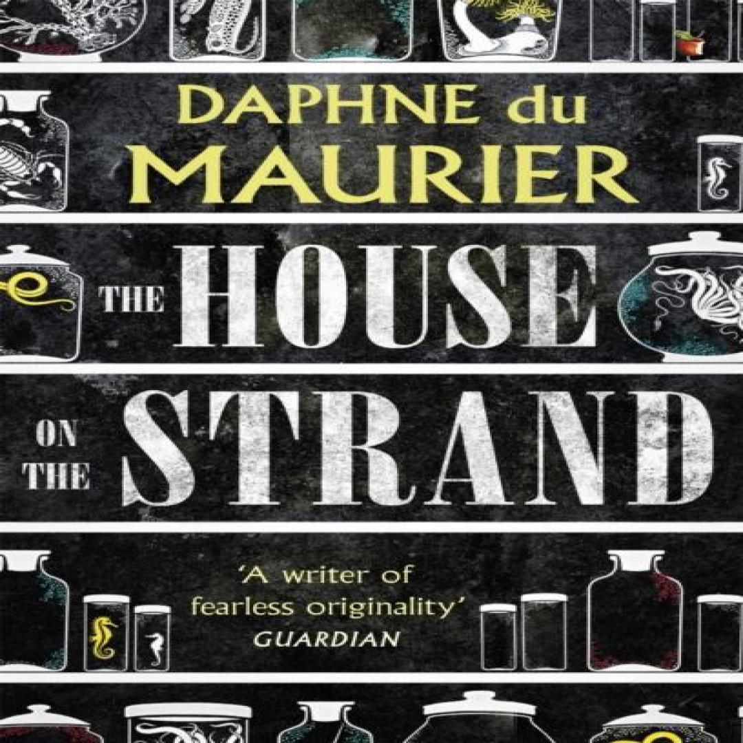 Das Haus am Strand von Daphne du Maurier Taschenbuch 9781844080427