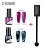 ROSALIN 3PCS Cat's Eye Gel Nail Polish With Magnet Tool Semi Permanent UV Gel Polish Magnetic Nail Art Design