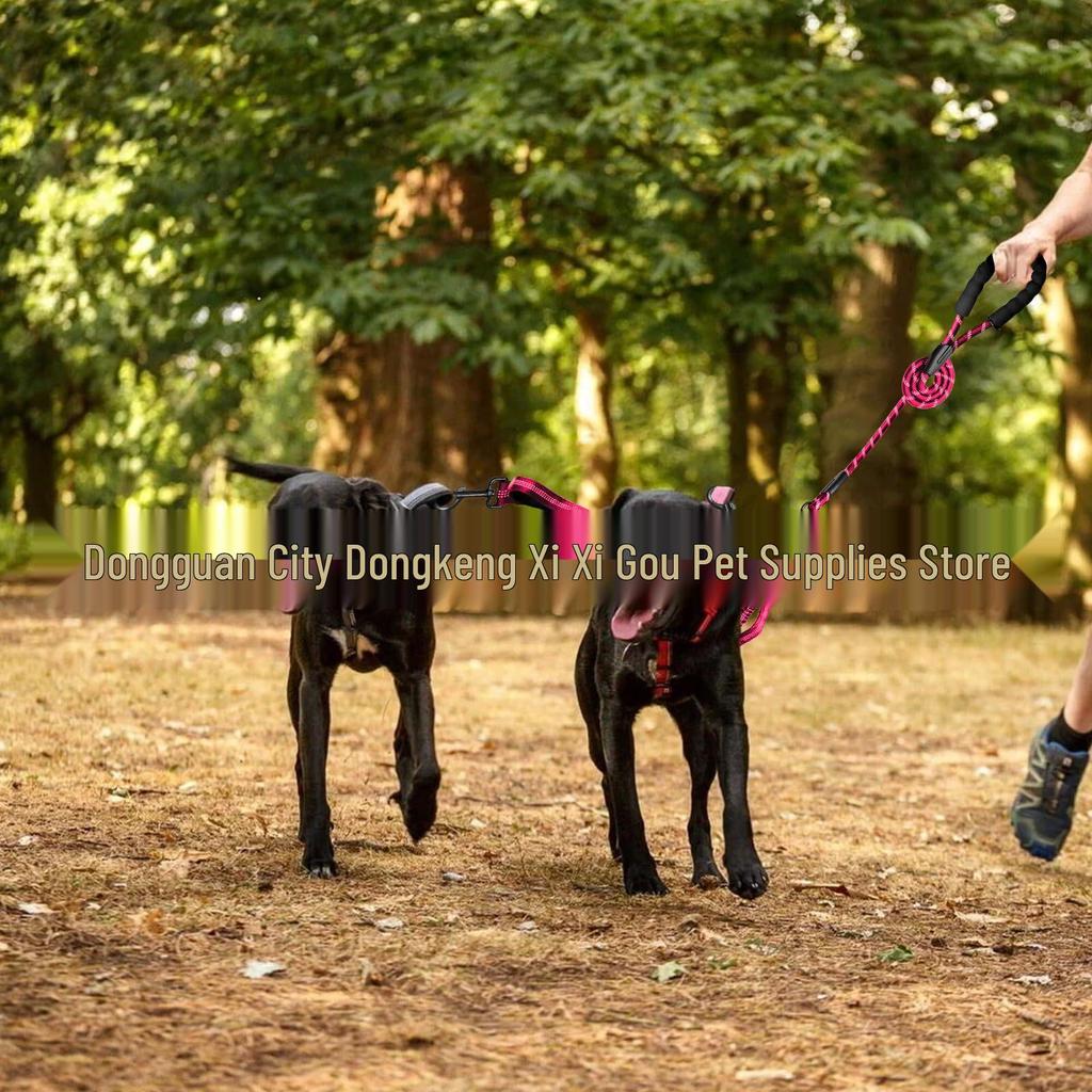 Dual-Head Retractable Luminous Anti-Tangle Dog Leash