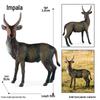 Realistic Farm Animal Model Set: Dairy Cow, Simmental Bull, Yellow Cattle, Fighting Bull, Water Buffalo, Yak