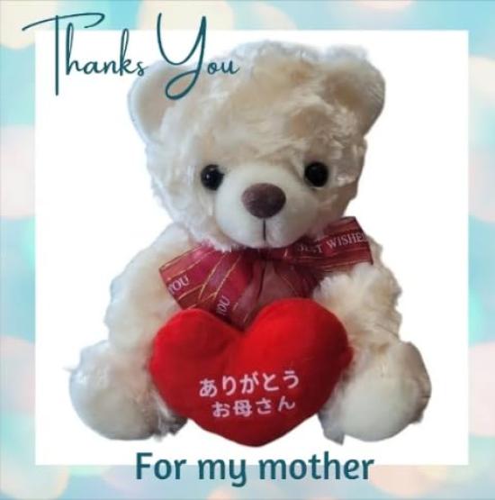 [Sai] Brinquedo de Pelúcia de Celebração do 60º Aniversário com Mensagem, Dia das Mães, Dia dos Pais, Aniversário [Obrigado Mãe, Pai] Presente para Mulheres, Mães, Homens,