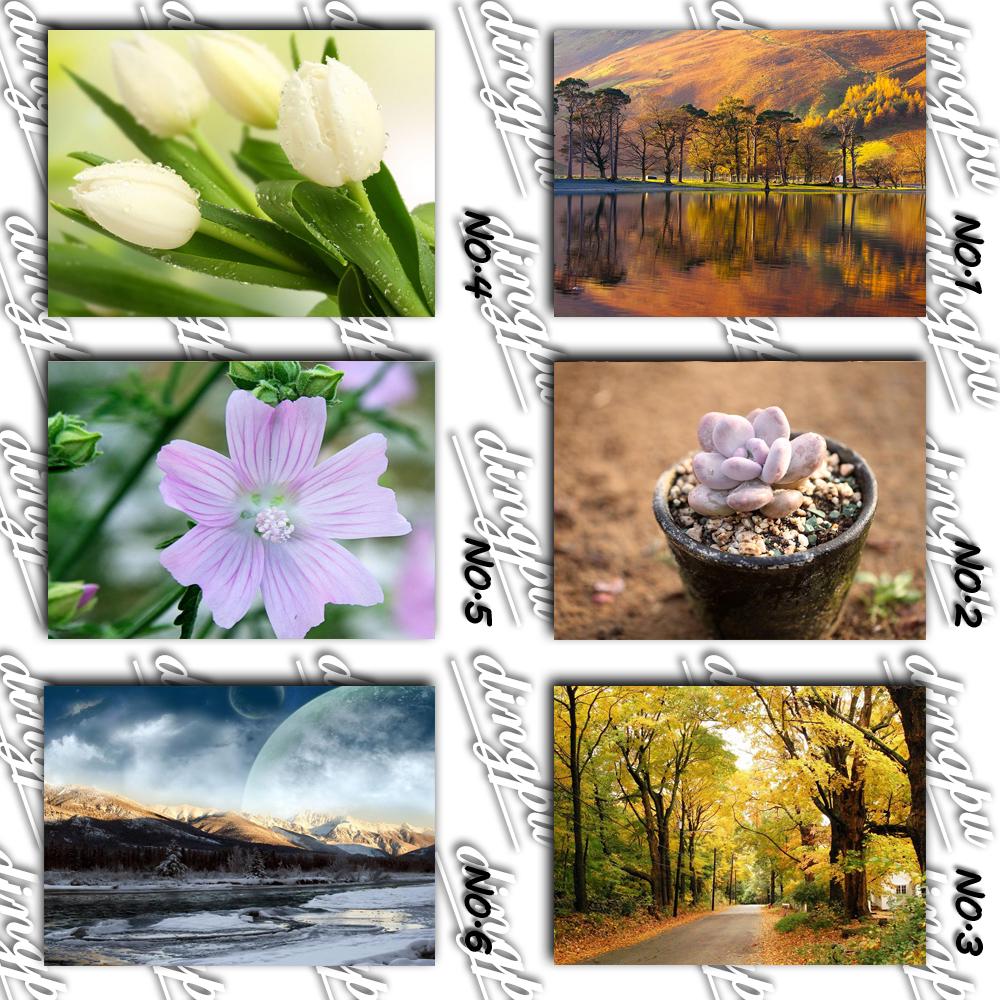 DINGPU Full Round Drill 5D DIY Diamond Painting "Flower " Embroidery Cross Stitch 5D Home Decor Gift