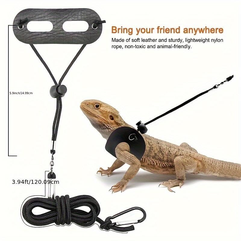4Pcs Small Reptile Pet Leash, Large, Medium and Small 3 Sizes of Leash, 120cm Pet Leash Set