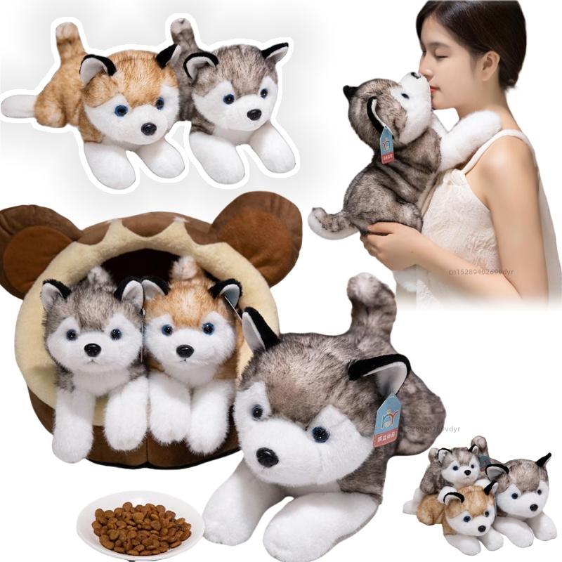 30-50cm Cute Husky Simulated Plush Dolls Soft Dog Pillow Kawaii Animals Toys Lucky Birthday Gifts For Girls Boys Home Decor