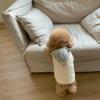 Fashion Pet Two-Legged Coat with Hat Warm Cotton Vest for Small Medium Dogs Winter Chihuahua Costume Puppy Clothing