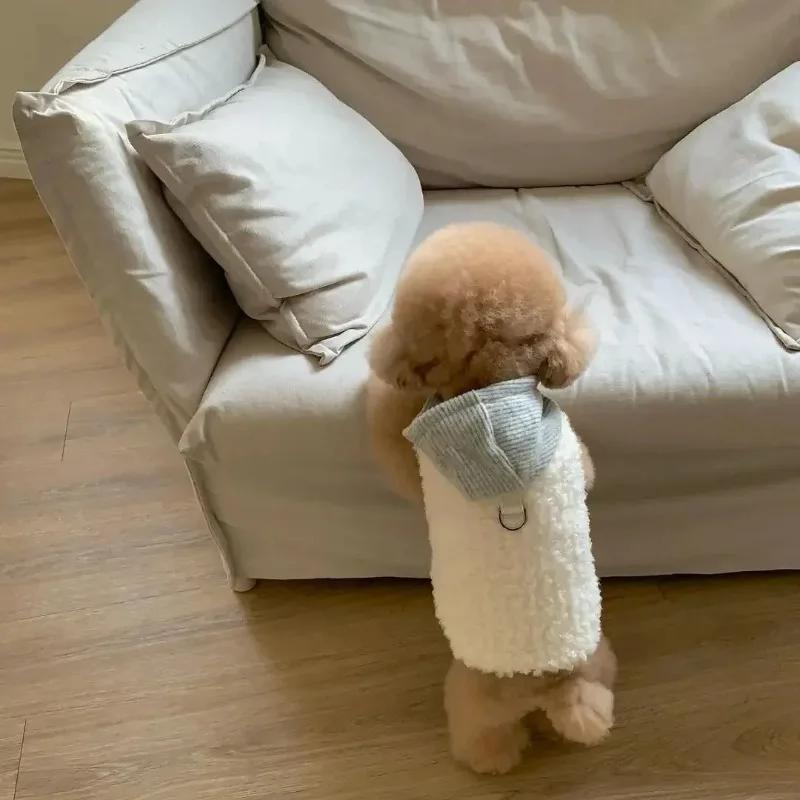 Fashion Pet Two-Legged Coat with Hat Warm Cotton Vest for Small Medium Dogs Winter Chihuahua Costume Puppy Clothing
