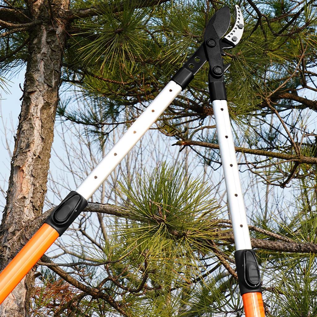 Verocis Extendable Gardening Shears Extends Up To Includes Replacement Teflon Fits 5cm Diameter Aluminum Handle with Ideal for Home and Bonsai Weighs