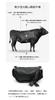 Whatna Natural Cowhide Leather Shoulder Bag for Women, Small Messenger Bag, Business Bag, Fits iPad Mini, Horizontal Design, Genuine Leather,