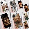 Yorkshire Terrier Dog For Samsung Galaxy A36 A56 A26 A16 A22 A32 A52 A54 A34 A55 A35 A15 A53 A33 A13 A05 A06 Case