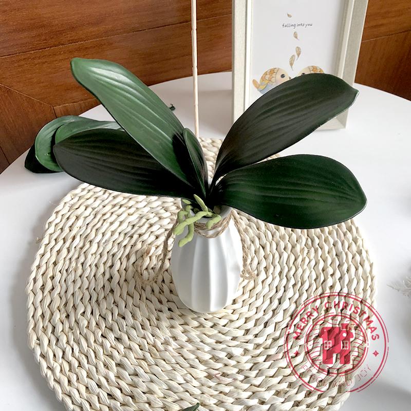 New Simulation Plants Phalaenopsis Leaf Decorative Flowers Auxiliary Material Flower Decoration Orchid Leaves Micro Landscape