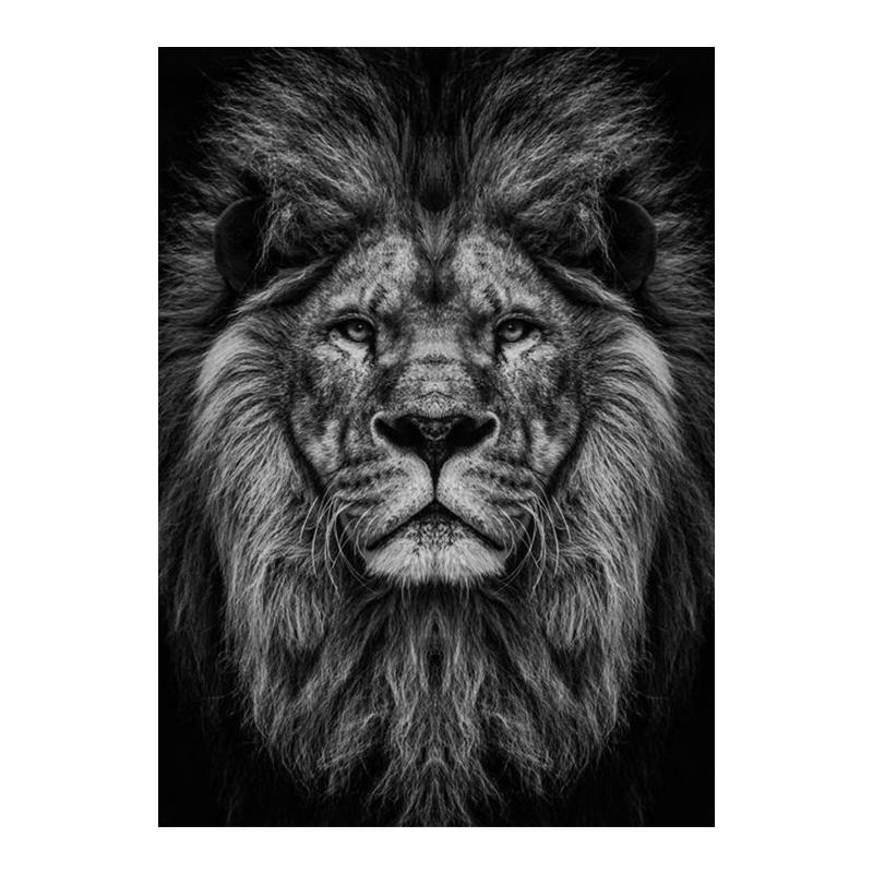 Schwarz-weiße Tiere Kunst Löwe Leinwand Malerei Moderne Poster und Drucke Wandbilder für Wohnzimmer Home Cuadros Dekor