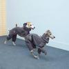 Medium Dog 25th Anniversary High Collar Cotton Coat - Warm, Windproof, Eco-Friendly Pet Clothing for Autumn/Winter