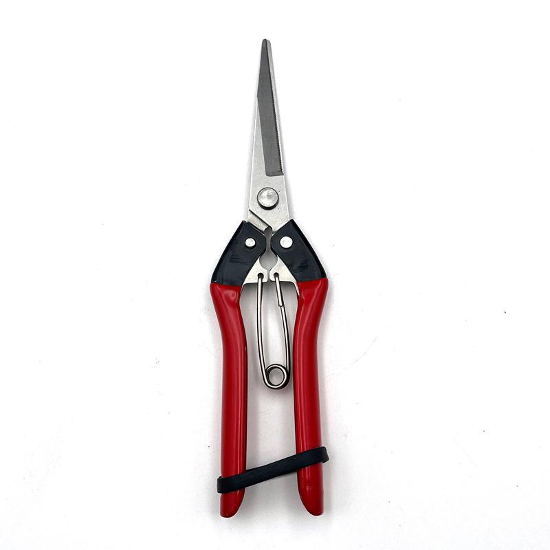 Stainless Steel Gardening Shears for Fruit Picking and Flower Pruning