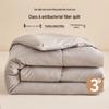 Zhang Yu Class A Antibacterial All-Season Polyester Duvet Insert