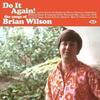 Various Artists - Do It Again! the Songs of Brian Wilson / Various [compact Discs] Uk - Import