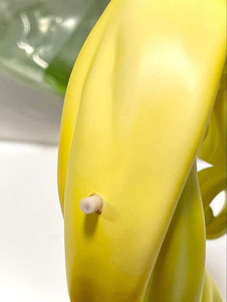 [USED] Vertex Dark Elf Village 2nd Villager Lyra 1/6