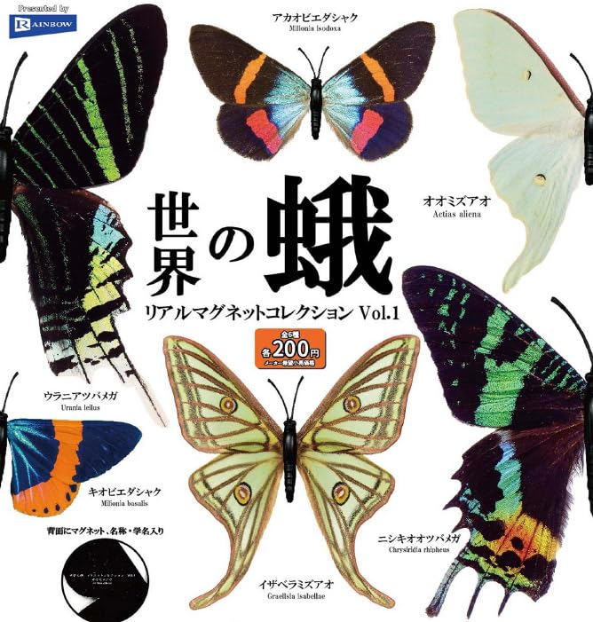 

Moths of the World Real Magnet Collection All 6 Types Set Gacha Gacha Vol.1