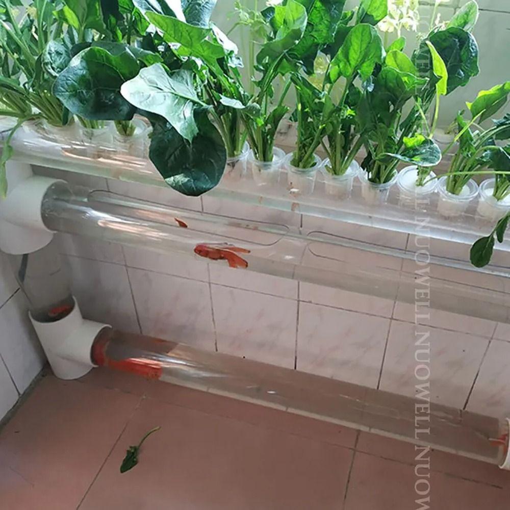 1 Stück 20/50cm Acrylrohr A.D. 16/20/25/32/40/50mm Rohrverschraubungen Aquariumrohr Hydrokultur Bewässerung