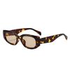 Fashion New Cat Eye Sunglasses Personalized Versatile Street Shot High-end Sunglasses Trendy Women's Glasses S