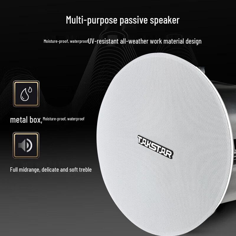 TAKSTAR EBS-630A Embedded Ceiling Speaker CN plug (adapter included)