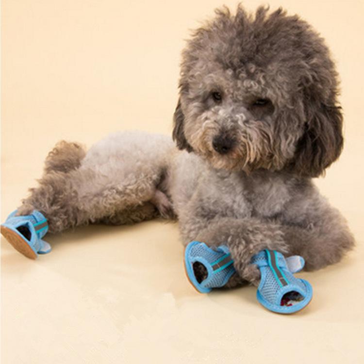 New Pet Shoes Cowgirl Bottom Mesh Sandals Dog Shoes Dog Sandals