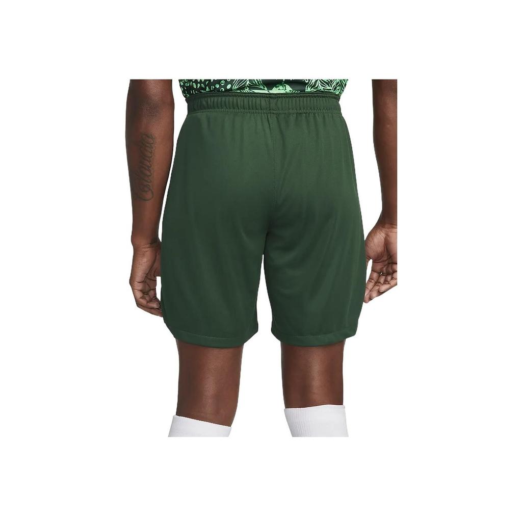 Nike Logo Print Mid-Rise Straight-Leg Casual Shorts Men Shorts Green DN0736-397