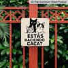 2D Flat, 1pc, Vintage Metal Sign, Decorative Plaques and Ornaments, Cat Gaze Humor Decorative Plaque, Humorous Style, Yard, Bathroom, Door Behind or