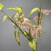 Tropical Plant Simulation Taro Leaf Plant Artificial Green Plant Leaves  Wedding Party Decor