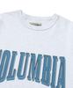 COLUMBIA UNIVERSITY Crack Logo S/S T-Shirts L Grey
