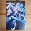 [USED] FGO Final Ascension Artbook II Bonus Postcard Morgan