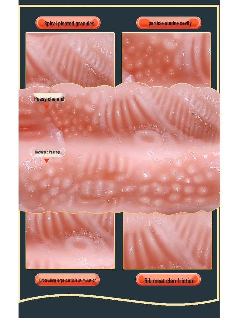 Muyuan Erwachsener Mann Masturbator Tasse - Kleiner Nami Geformter Torso.