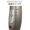 Kashimura Travel [Domestic and International Use] Negative Ion Hair Dryer with Cooling Function NTI-168