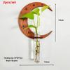 Cross-Border Round Solid Wood Plant Storage Rack – Simple Wall-Mounted Test Tube Wooden Decor for Bedroom.