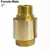 BSPT Thread Brass Check Valve Male To Mal Spring Check Valve Durable Pipe Check Valve