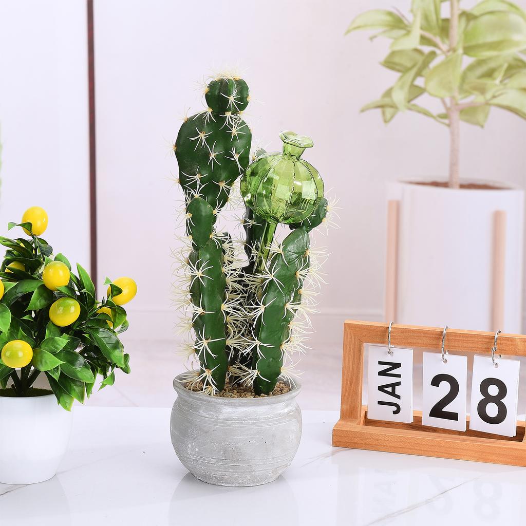 3pcs Ball Shape Automatic Watering Globe Self Drip Irrigation Plant Watering Bulb Glass Material 250ml for Indoor