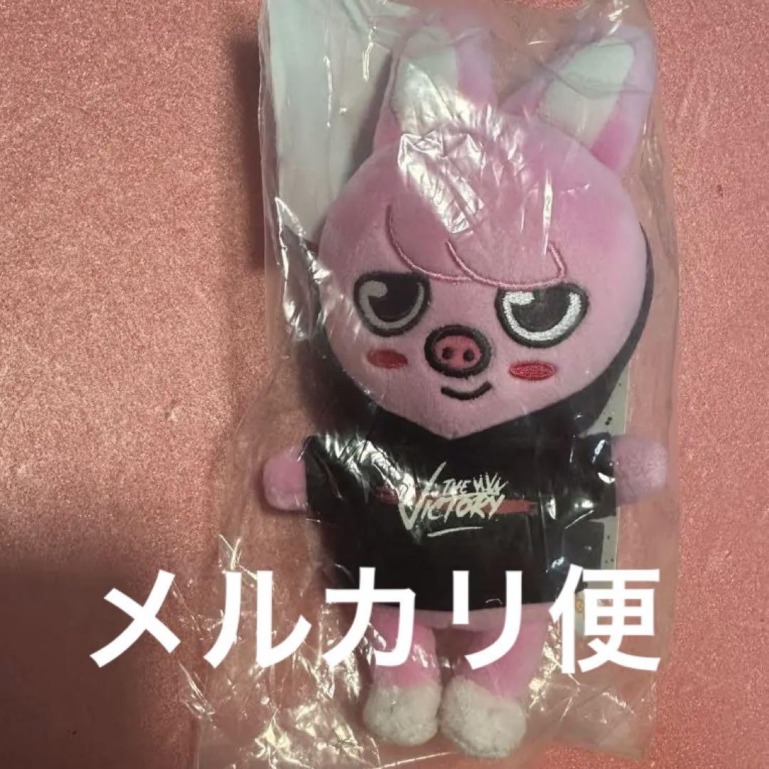 

[USED] Stray Kids Changbin SKZOO Plush Toy DWAEKKI Mini Size