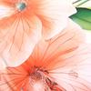 Pillowcase 40x40 cotton satin DIGITAL PRINT large flower background cream color