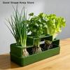 Tägliches Hydroponik-Frühlingszwiebel-Anbaugerät Selbstbewässerungssystem für Frühlingszwiebeln Schnelle Bewurzelung Haus Büro GartenbauTägliche Produkte