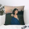 Cushion Cover Anti-dustmite Pillowcase Invisible Zipper Silky Short Plush Sofa Cushion Cover Simple Black And White Abstract