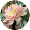 Artistic Simulated Lotus Flower DIY Decoration Decorative Fake Flower  Wedding Decoration