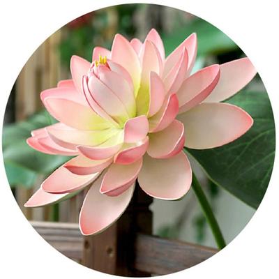 Artistic Landscape Artificial Flower DIY Decoration EVA Simulated Lotus Flower with Rod Props Decorative Fake Flower