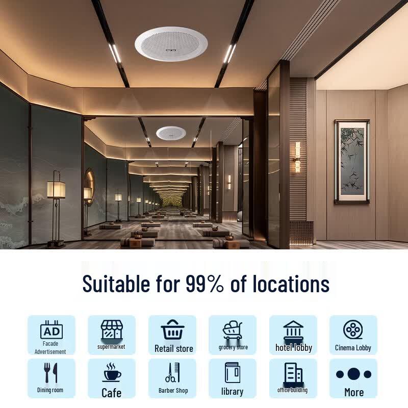 SAST X6 Ceiling Speaker System with Amplifier (CN version)