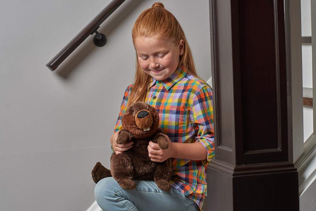 Wild Public Beaver Plush Soft Wild W19 X D40 X 10921 Toy, Material, Animal, Cuddlekins, H26cm,