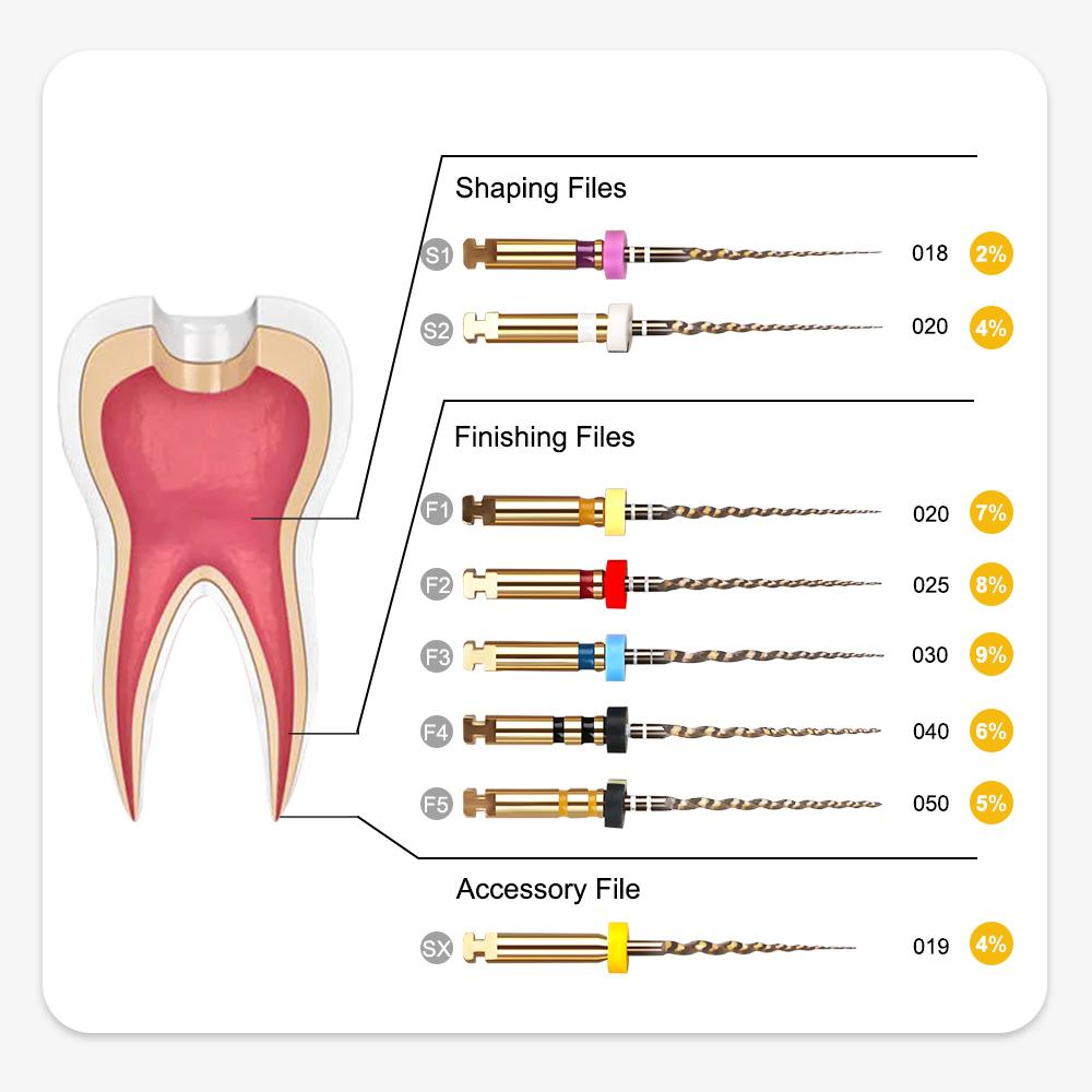 6 szt./pudełko Złote elastyczne pilniki dentystyczne, obrotowe pilniki endodontyczne, złote pilniki endodontyczne, 21/25/31 mm, niklowo-tytanowe, narzędzie stomatologiczne